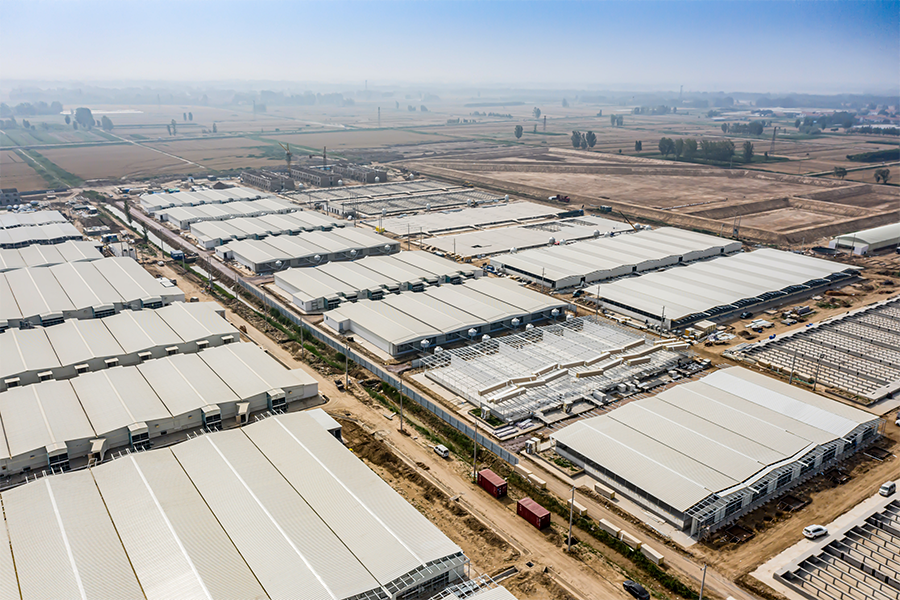 案例赏析-滨州惠民牧原